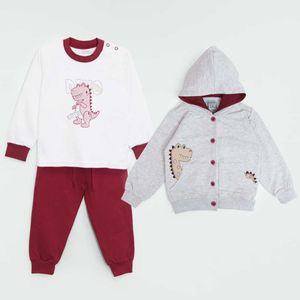 CONJUNTO BABYDINO 4625